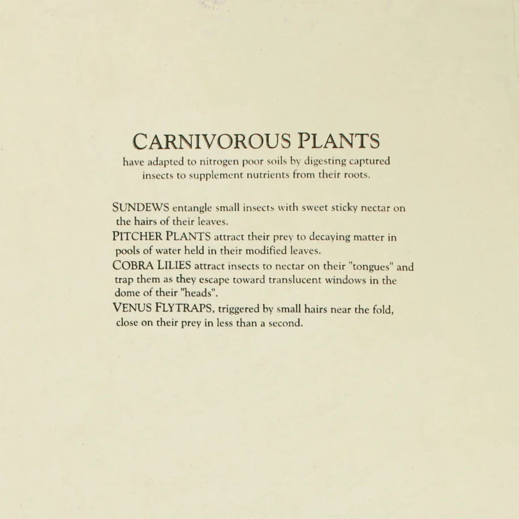 Liberty Graphics Carnivorous Plants Short Sleeve T-Unisex - Clothing - Tops-Liberty Graphics-Appalachian Outfitters