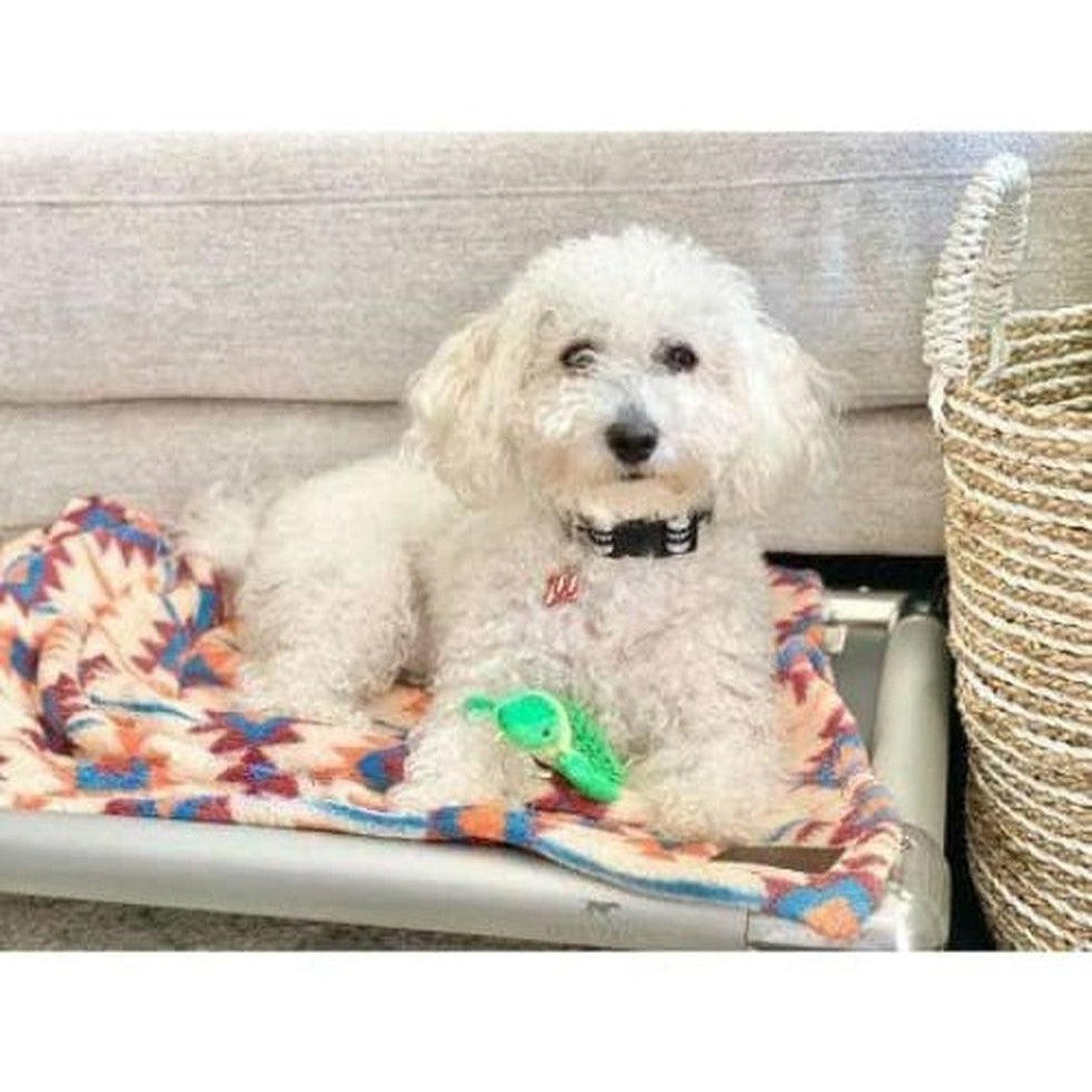 Tall Tails Baby Turtle with Squeaker Toy Outdoor Dogs