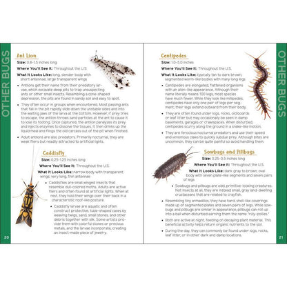 Insects & Bugs for Kids-Books - Books-AdventureKEEN-Appalachian Outfitters