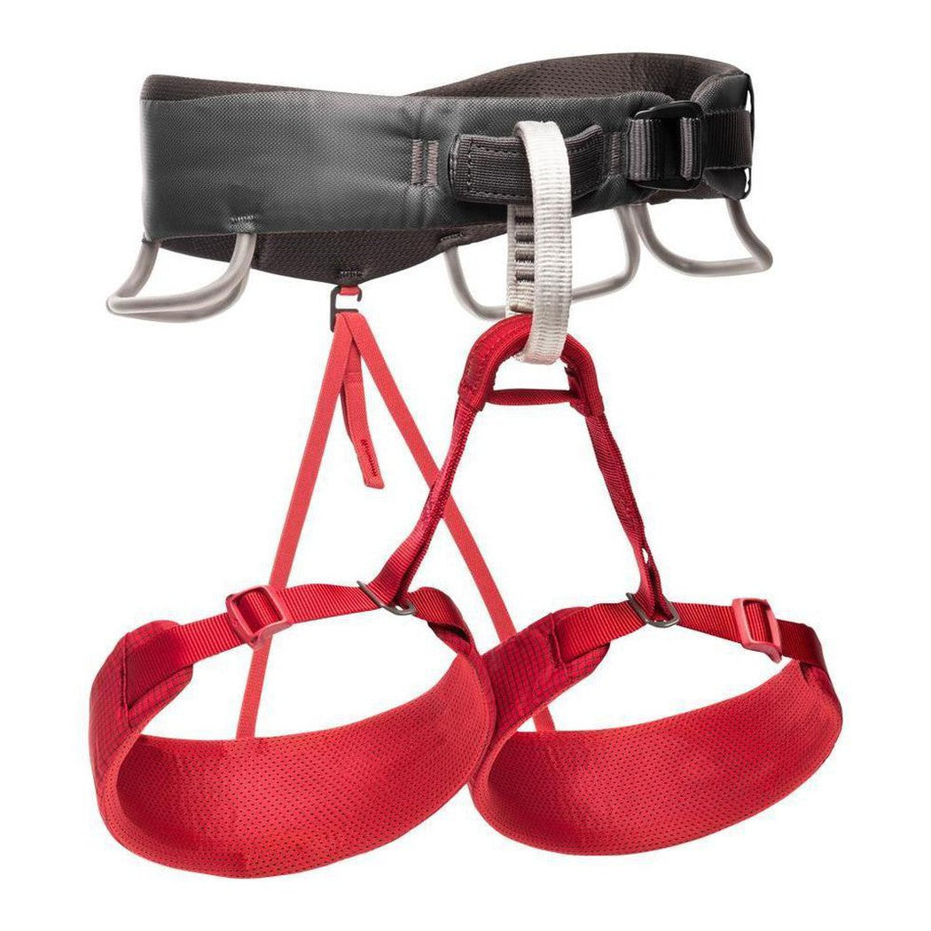 Black Diamond-Momentum Harness - Women's-Appalachian Outfitters