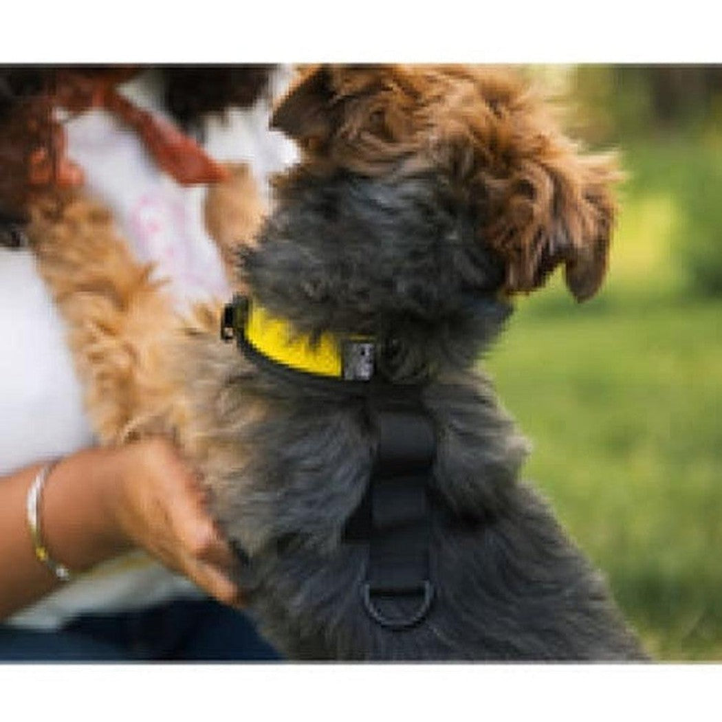 K9 Sport Sack Walk-on with Harness & Storage Outdoor Dogs