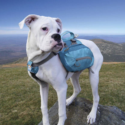 Kurgo Big Baxter Pack Outdoor Dogs