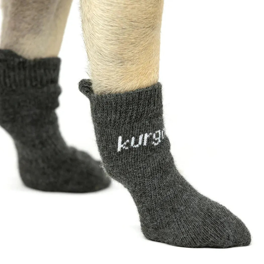 Kurgo Blaze Dog Socks-Pets - Apparel-Kurgo-Appalachian Outfitters