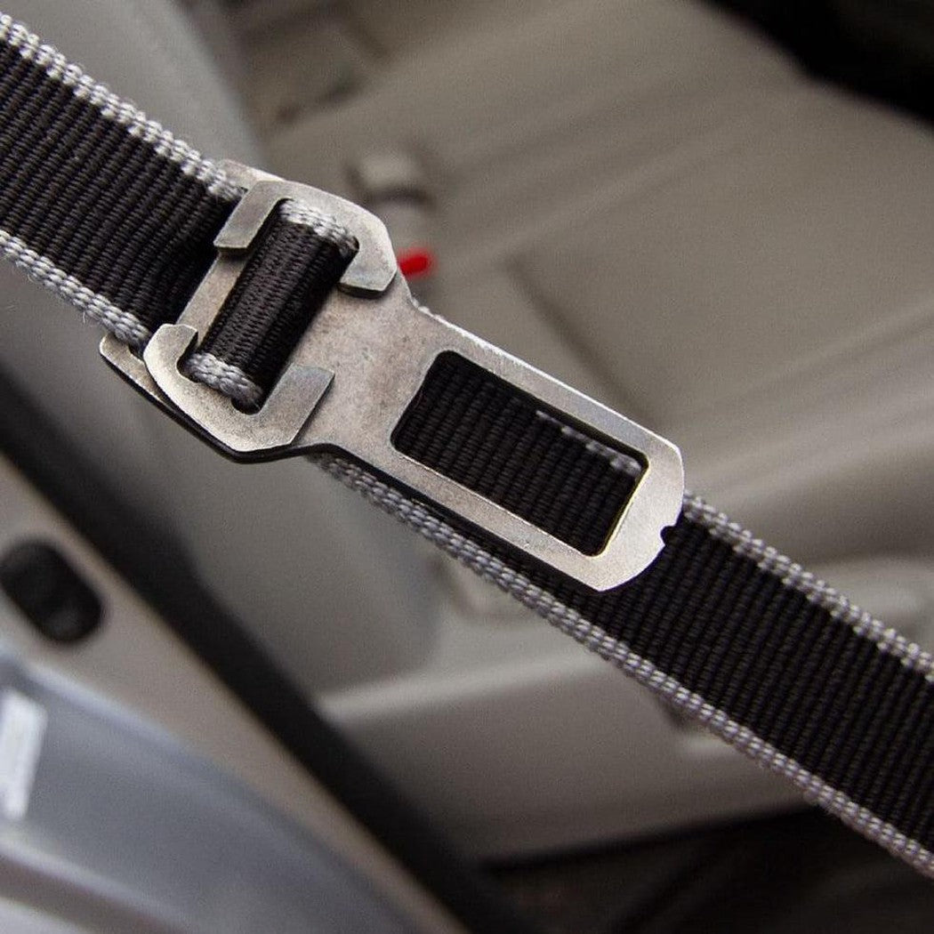 Kurgo Leash to Seatbelt Buckle Outdoor Dogs