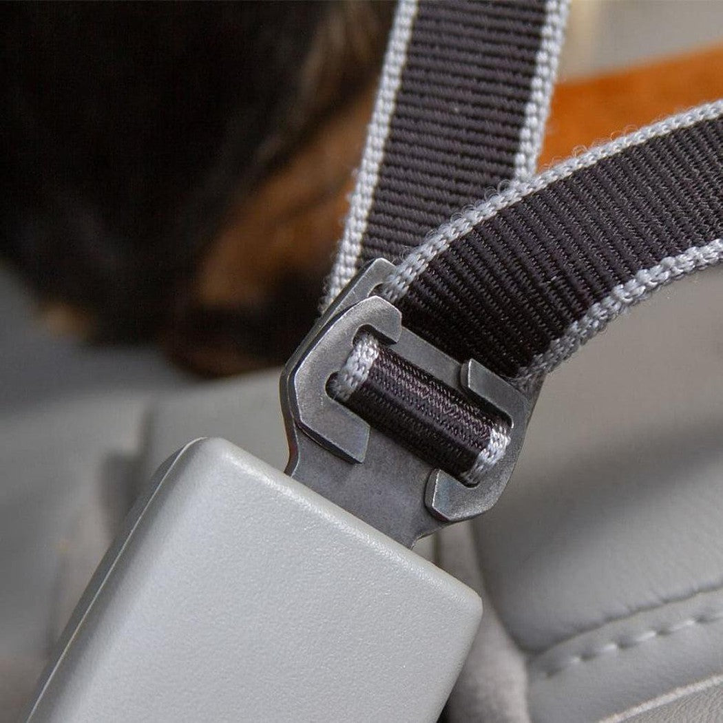 Kurgo Leash to Seatbelt Buckle Outdoor Dogs