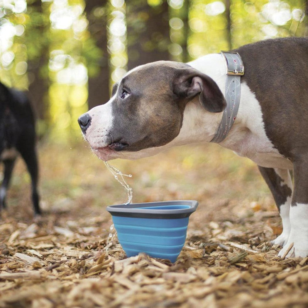 Kurgo Mash & Stash Bowl Outdoor Dogs