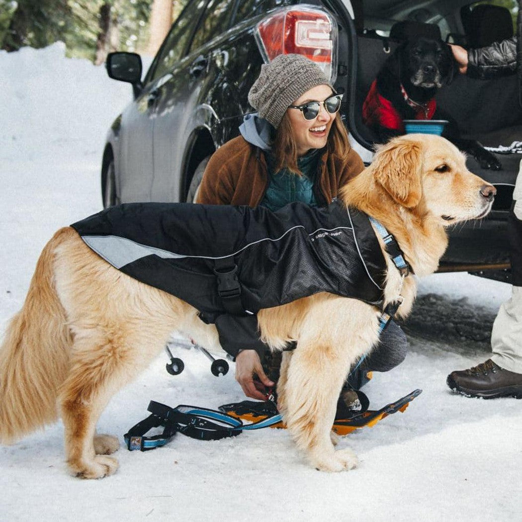 Kurgo North Country Coat Outdoor Dogs