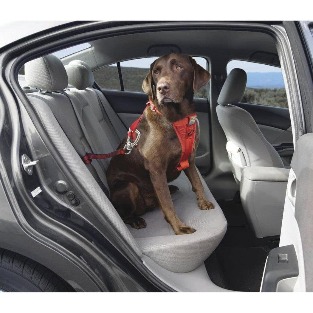 Kurgo Swivel Tether Red Outdoor Dogs