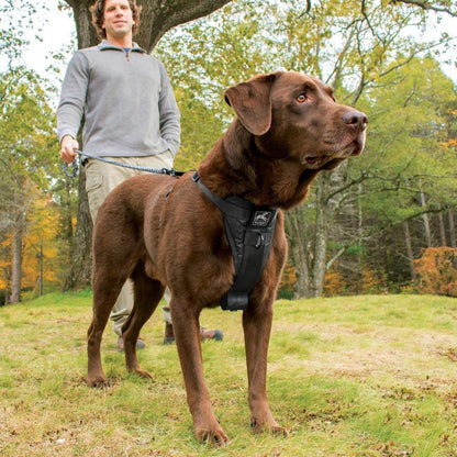 Kurgo Tfs Harness-enhanced Strength Outdoor Dogs