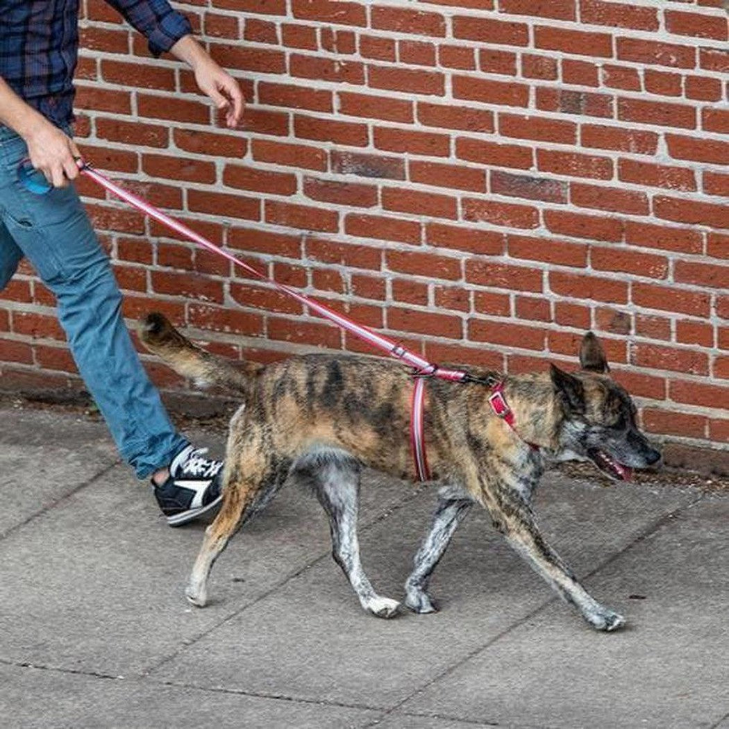 Kurgo Walk About no Pull Leash Charcoal/Chilli Outdoor Dogs