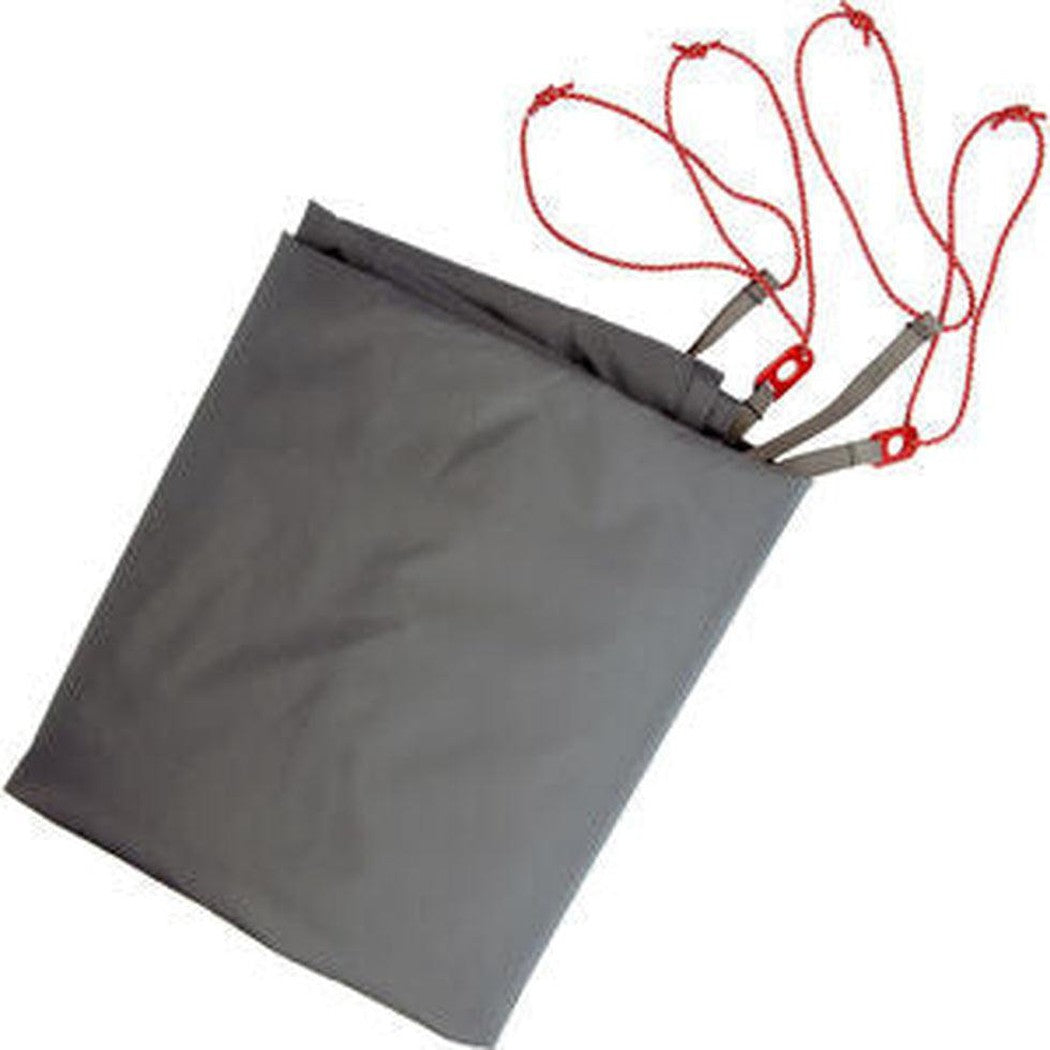 Elixir 2 Tent-Camping - Tents & Shelters - Tents-MSR-Appalachian Outfitters