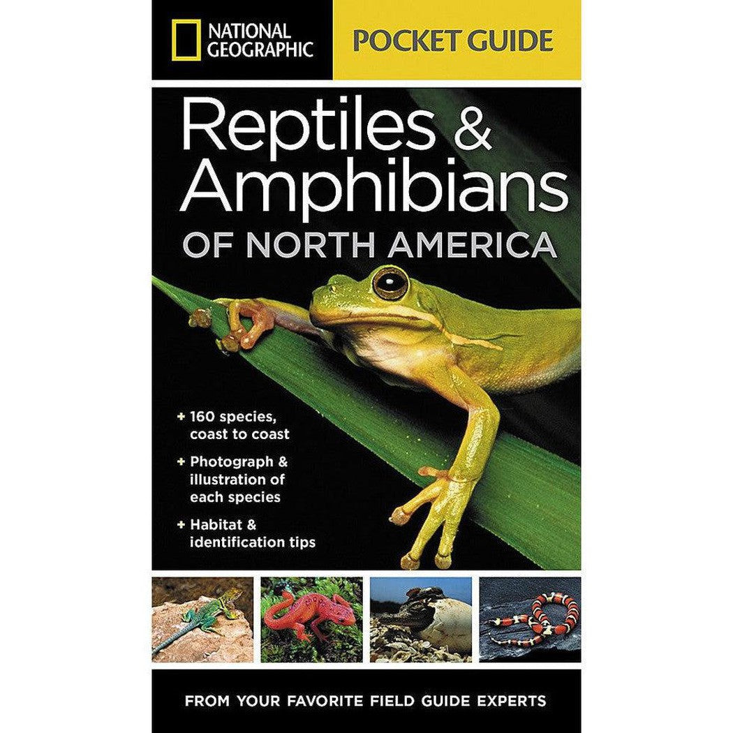 National Geographic Pocket Guide Reptiles & Amphibians of N.A.-Books - Books-National Geographic-Appalachian Outfitters