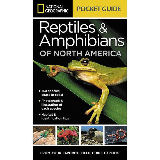National Geographic Pocket Guide Reptiles & Amphibians of N.A.-Books - Books-National Geographic-Appalachian Outfitters