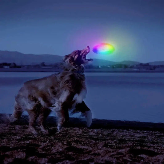 Flashflight Dog Discuit LED Flying Disc - Disc-O-Pets - Safety - Lights-Nite Ize-Appalachian Outfitters