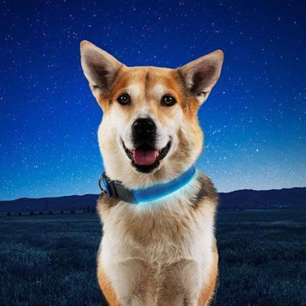 Nite Ize Nitedog Rechargeable Led Collar Outdoor Dogs