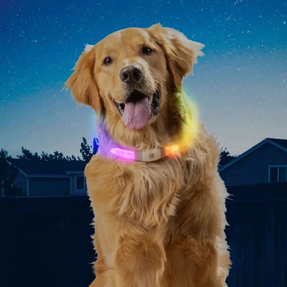 NiteHowl Max Rechargeable LED Safety Necklace - Disc-O Select-Pets - Safety - Lights-Nite Ize-Appalachian Outfitters