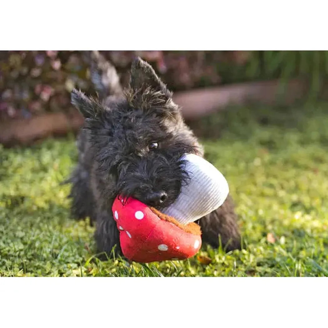 P.L.A.Y Blooming Buddies Mutt's Mushroom-Pets - Toys-P.L.A.Y-Appalachian Outfitters