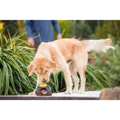 P.L.A.Y Camp Corbin Trailblazing Tent-Pets - Toys-P.L.A.Y-Appalachian Outfitters