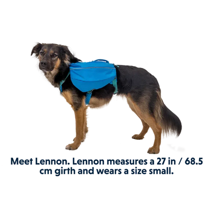 Ruffwear Approach Pack-Pets - Packs-Ruffwear-Appalachian Outfitters