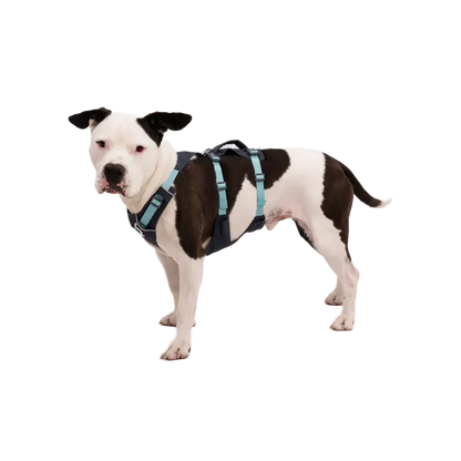 Ruffwear Flagline Dog Harness With Handle-Pets - Harnesses-Ruffwear-Appalachian Outfitters
