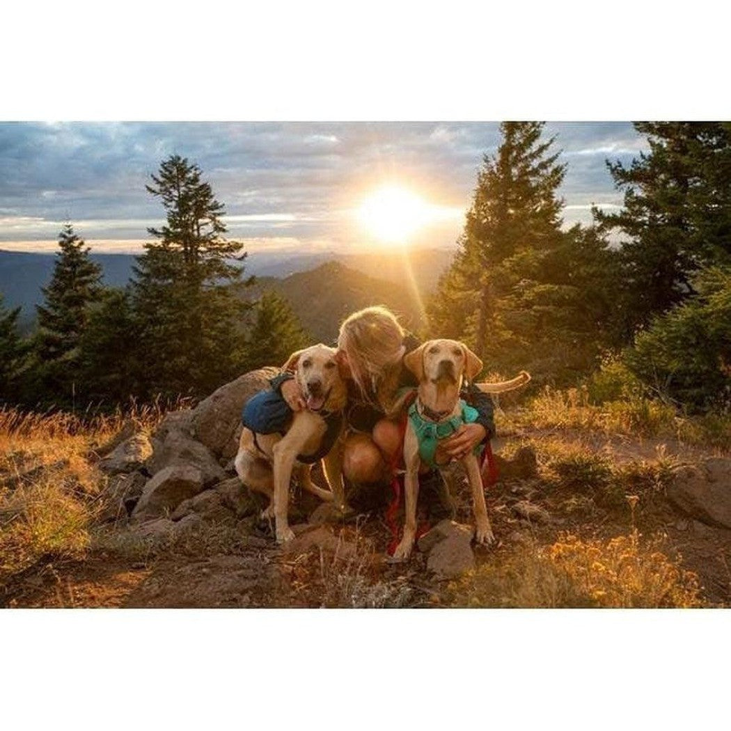 Ruffwear Front Range Day Pack Outdoor Dogs