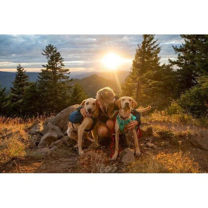 Ruffwear Front Range Day Pack Outdoor Dogs