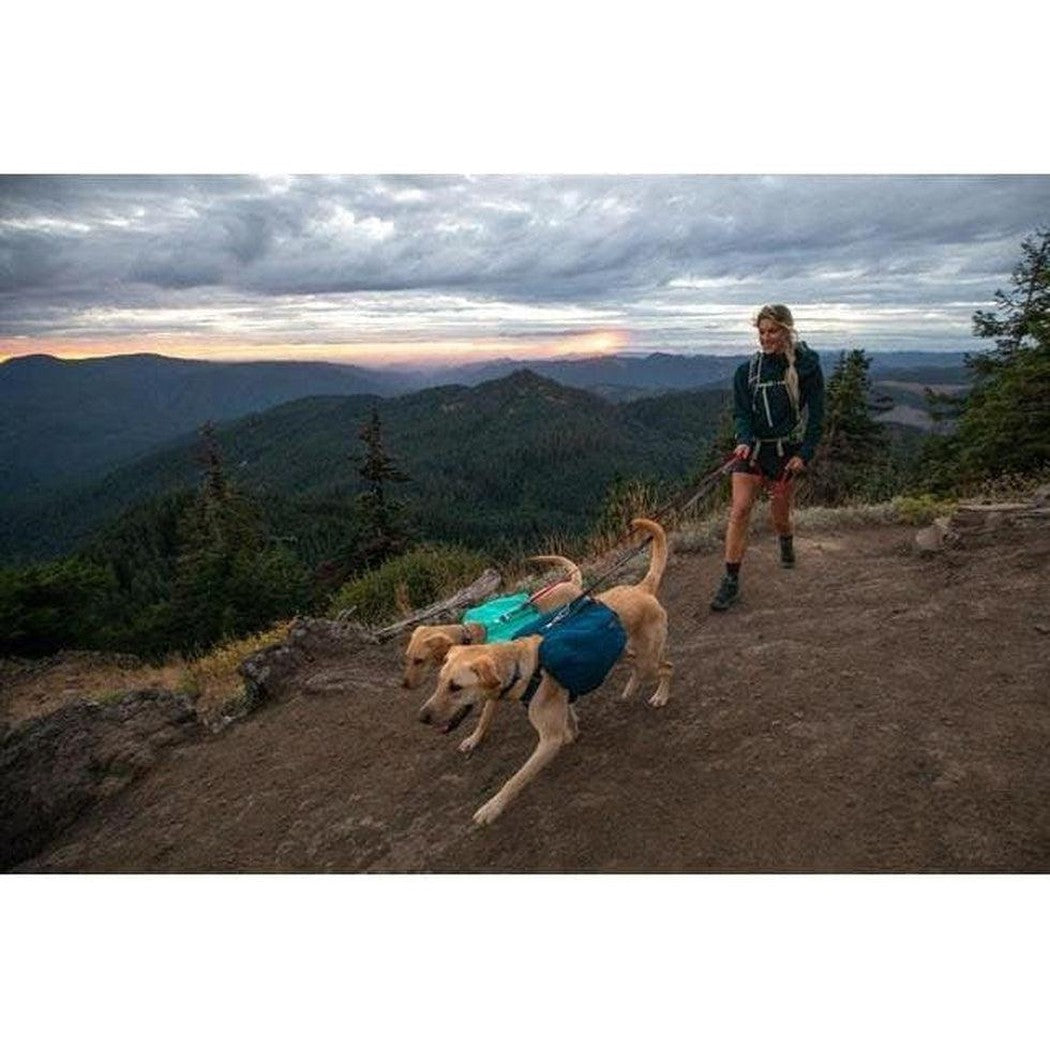 Ruffwear Front Range Day Pack Outdoor Dogs