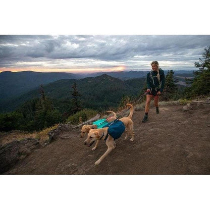 Ruffwear Front Range Day Pack Outdoor Dogs