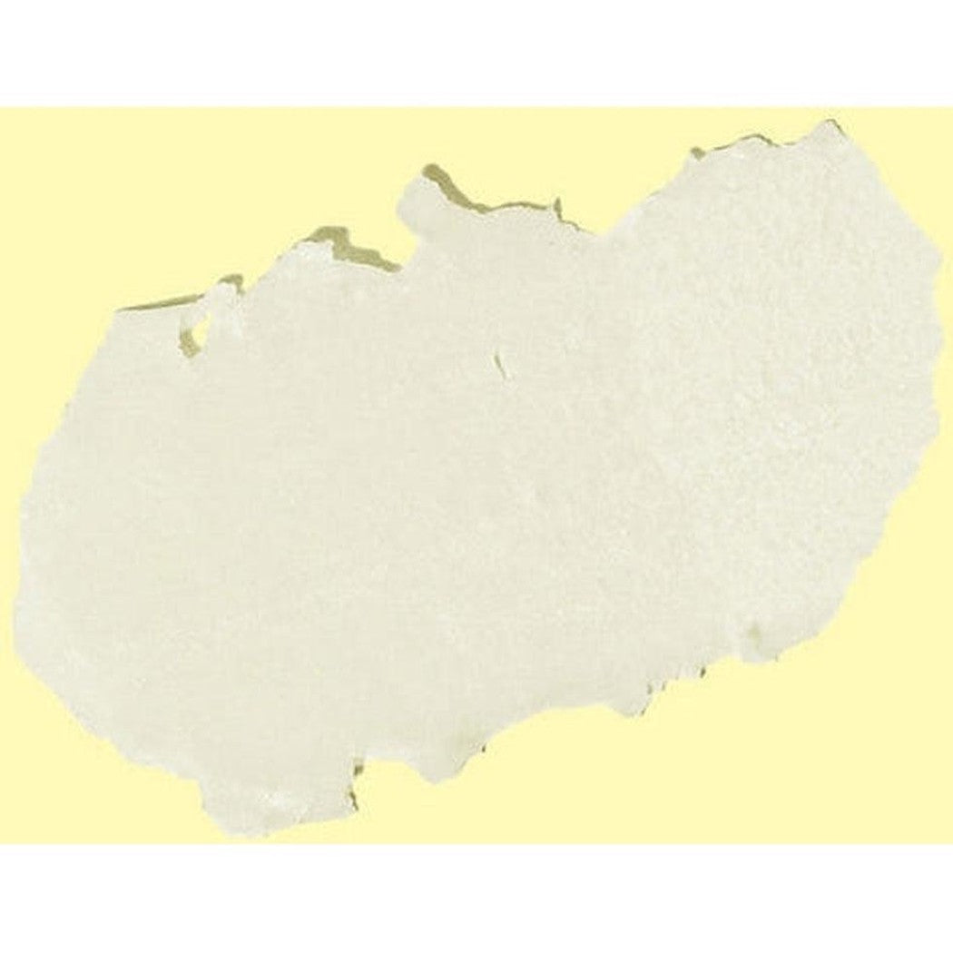 Original SPF 30 Lip Balm-Camping - First Aid - Skin Care-Sun Bum-Appalachian Outfitters