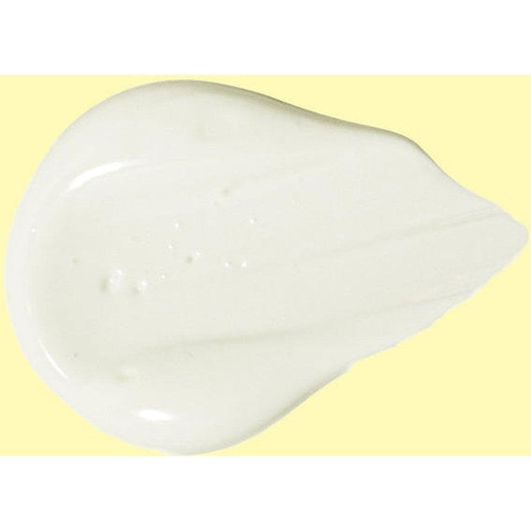 SPF 50 Clear Face Sunscreen Lotion-Camping - First Aid - Skin Care-Sun Bum-Appalachian Outfitters