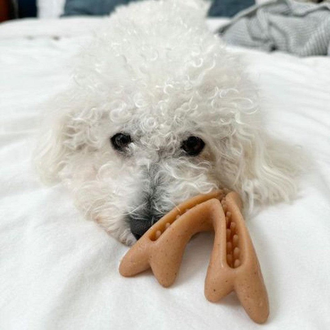 Tall Tails Antler Chew-Pets - Toys-Tall Tails-Appalachian Outfitters