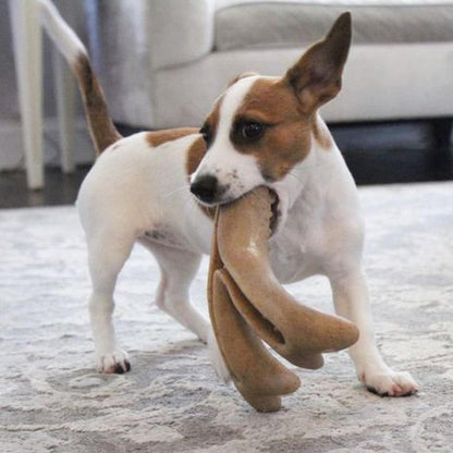 Tall Tails Antler Chew-Pets - Toys-Tall Tails-Appalachian Outfitters