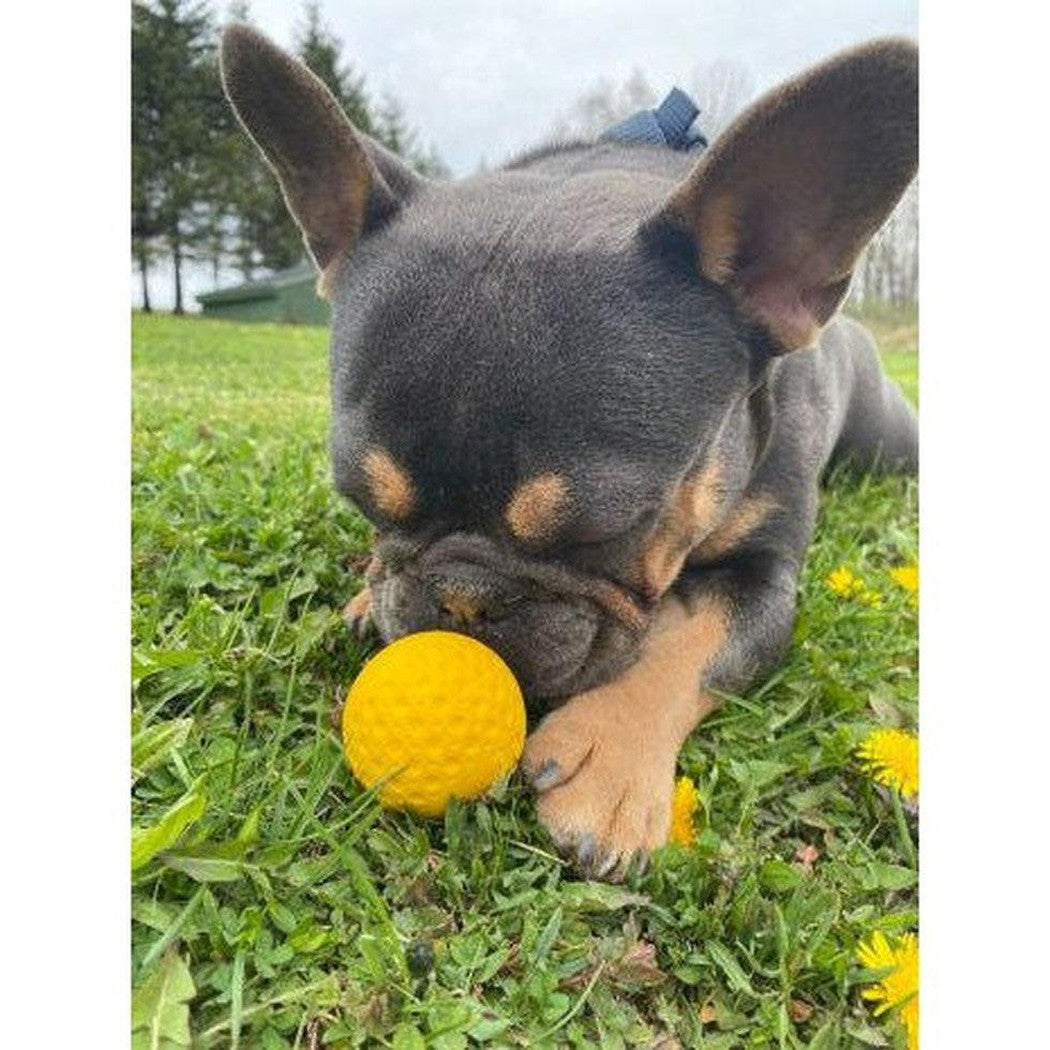 Tall Tails GOAT Ball-Pets - Toys-Tall Tails-Appalachian Outfitters