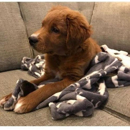 Tall Tails Icon Blanket Charcoal Outdoor Dogs