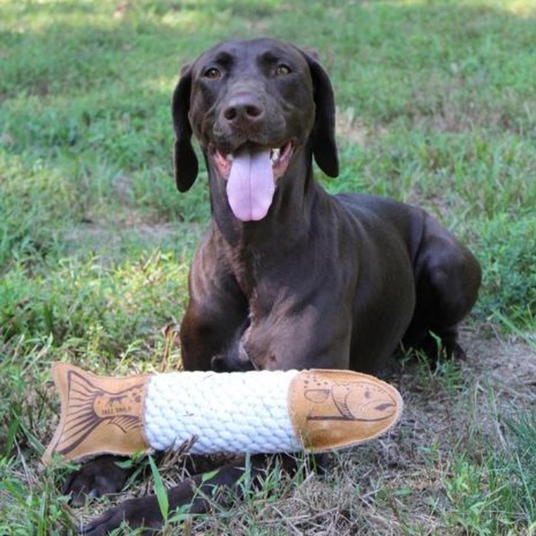 Tall Tails Natural Leather Trout Rope Tug Dog Toy - 15"-Pets - Toys-Tall Tails-Appalachian Outfitters
