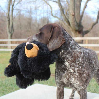 Tall Tails Stuffless Black Bear Squeaker Dog Toy-Pets - Toys-Tall Tails-Appalachian Outfitters
