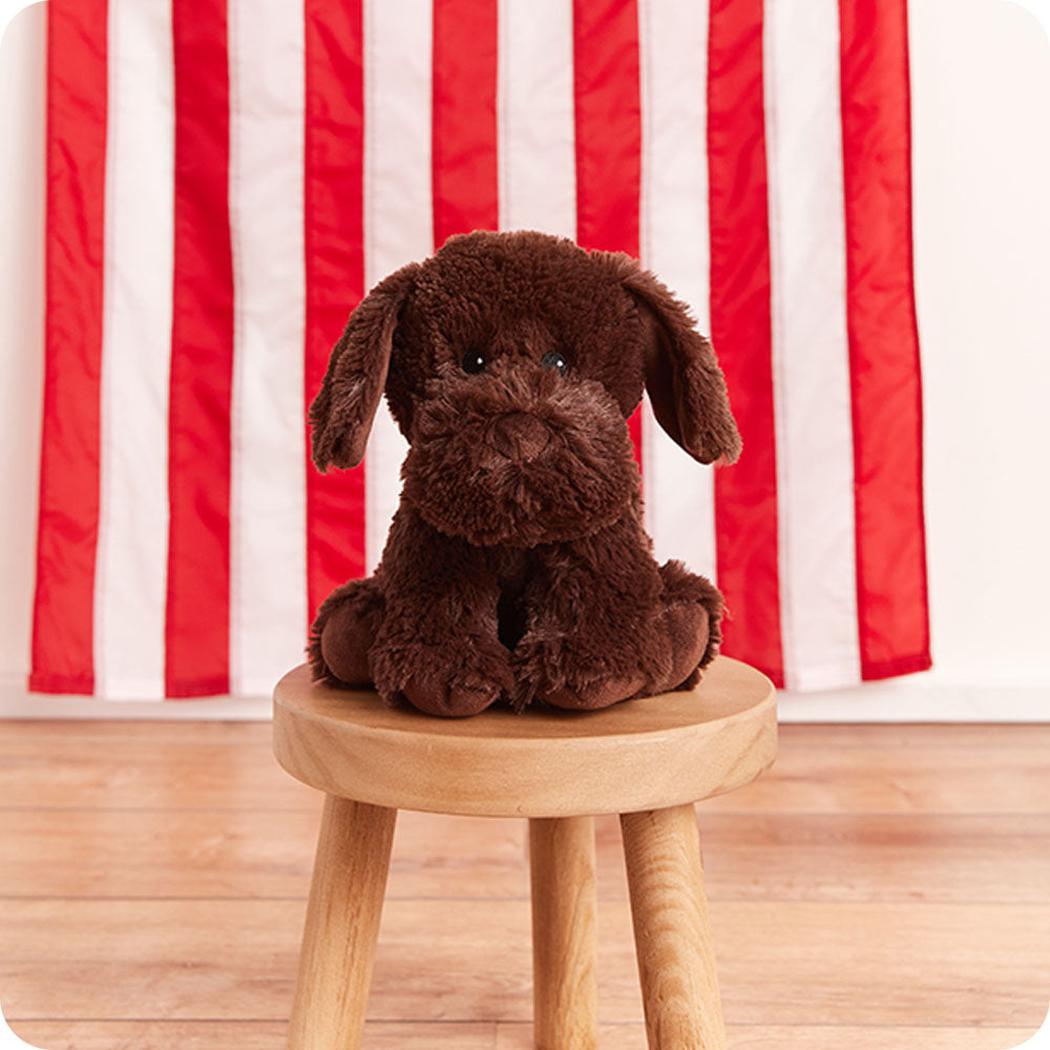 Warmies Chocolate Labrador-Accessories - Novelty-Warmies-Appalachian Outfitters